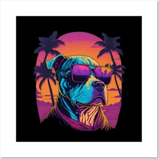 cool pitbull dog with sunglasses Posters and Art